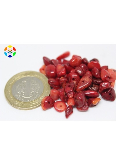 Delikli Mercan Mini Boy 50 Adet (Boyalıdır)