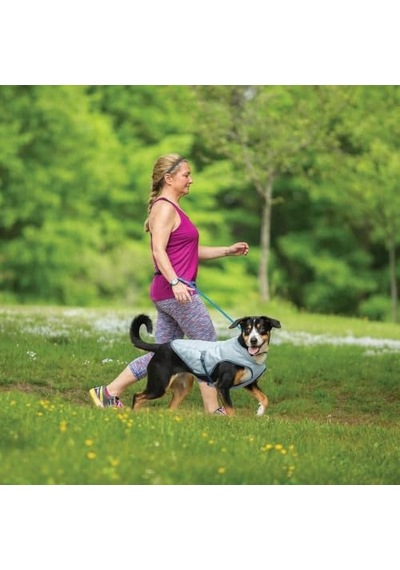 Köpekler İçin Soğutucu Yelek, Boyun Ve Göğsü Yüksek Sıcaklıklarda Soğutur, Yansıtıcı Malzeme, L Beden, Buz Mavisi Acı Biber Köpekler İçin Soğutucu Yelek, Boyun Ve Göğsü Yüksek Sıcaklıklarda Soğutur, Yansıtıcı Malzeme, L Beden, Buz Mavisi Acı Biber