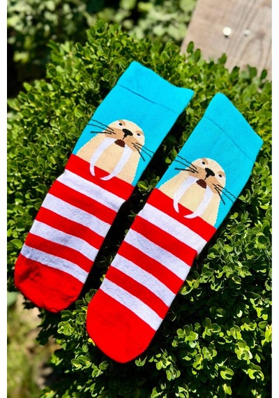 Lousocks Unisex Deniz Aslanı Desenli Renkli Soket Çorap Turkuaz
