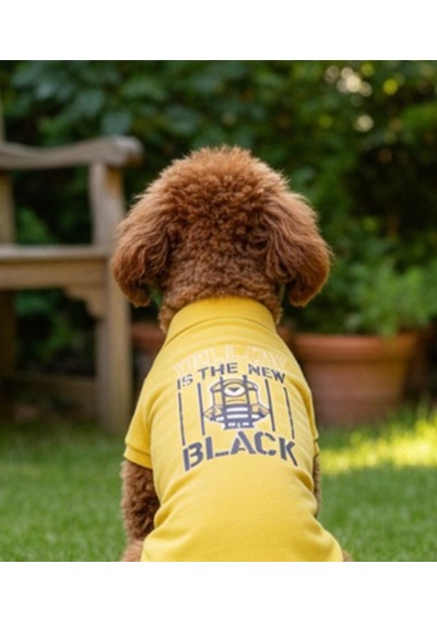 Miniş Yellow-black Küçük Irk Köpek Pike Kumaş Polo T-shirt-21583