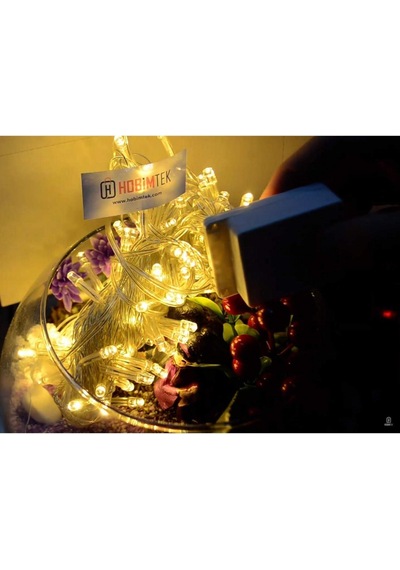 Ht-17 Dekoratif Led Işık 10 Metre Prizli 100 Ledli Eklemeli Fişli Led Işık Günışığı Lambası Yılbaşı Ağacı Işığı Uzatılabilir Led Gün Işığı Çok Renkli