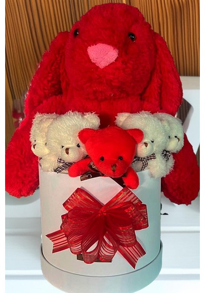 Özel Kutuda, Aşk Temalı Peluş Hediye Kutusu Kırmızı Jellycat Tavşan & 5 Mini Ayıcık Özel Tasarım