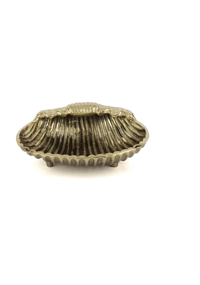 Mikasa Moor Antik Deniz Kabuğu Kase 19x7 Cm Sarı