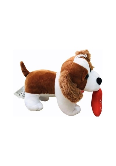 Halley 20 Cm Kalpli Köpek