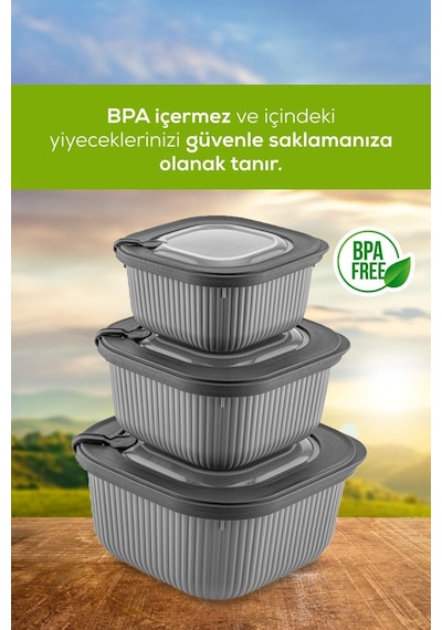 Vienev Mikrodalga Ve Difrize Uygun Vip Kapaklı Özel Saklama Kabı Seti Antrasit 3'lü Antrasit