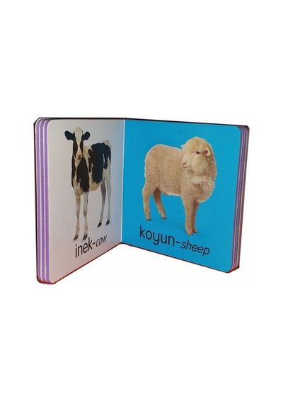 Bebekler için Kitap Seti