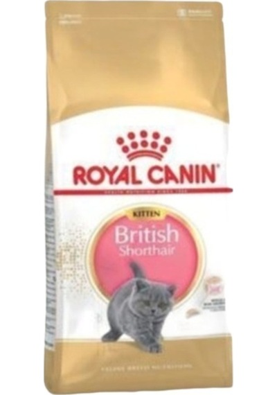British Shorthair Kitten Yavru Kedi Maması 2 Kg