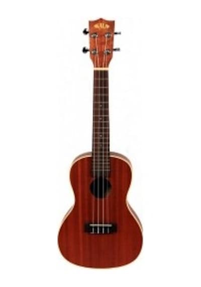 Kala Satin Maun Concert  Ukulele