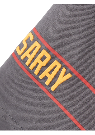 Gsstore Galatasaray Erkek T-shirt E252096 Antrasit