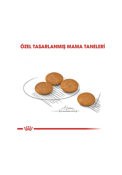 Royal Canin Mini Dermacomfort Yetişkin Köpek Maması 3 KG