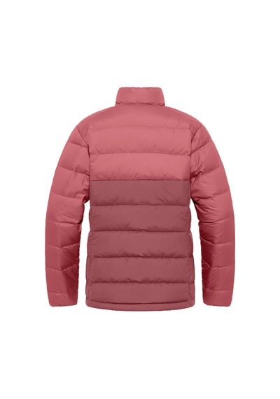 Jack Wolfskin Jack Wolfskın Ather Down Jkt W Rqs0 Çok Renkli