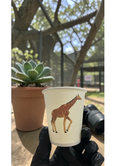 Hayvan-orman-amazon-zoo Doğumgünü Parti Zürafa Temalı Tek Kullanımlık 7 Oz 50 Adet Karton Bardak