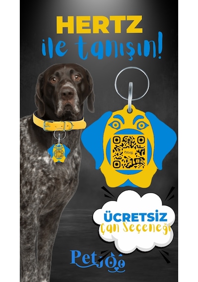 Petjoo 26.Hertz Mavi-Sarı Qr'lı Köpek Künyesi