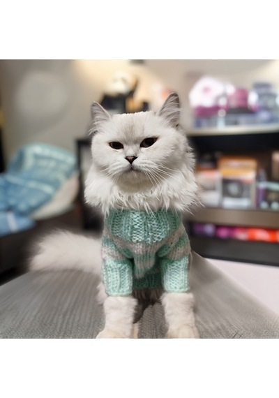 Kedi Köpek İçin Turkuaz Beyaz Çizgili Kazak