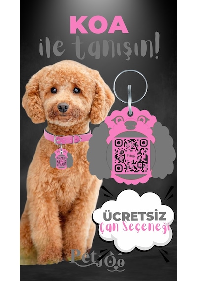 Petjoo 14.Koa Gri-Pembe Qr'lı Köpek Künyesi
