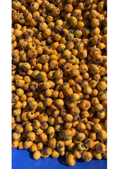 Doğal Alıç Sirkesi 500ml