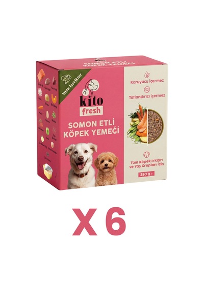 Kito Fresh Somon Etli Taze Yetişkin Köpek Yemeği 6 x 250 G