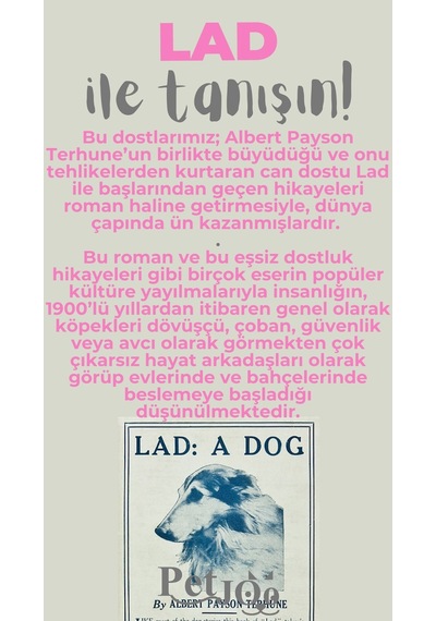 Petjoo 23.Lad Gri-Pembe Qr'lı Köpek Künyesi