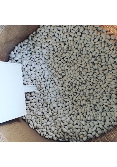 Kuru Fasulye Net 20 Kg Katkısız Doğal