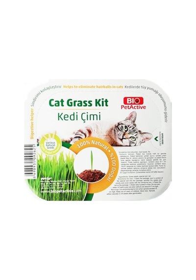 Bio Petactive Cat Grass Kit Fileli Doğal Kedi Çimi Kiti