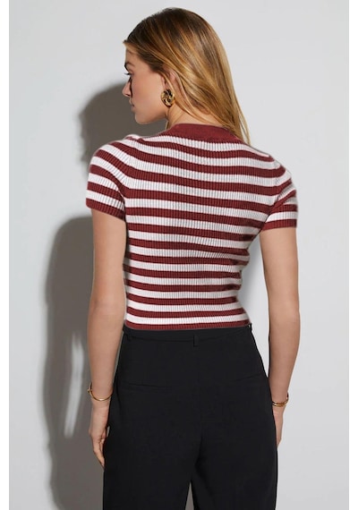 Aqe Fashion Kadın Çizgili Kısa Kol Bisiklet Yaka Camel Bluz Bordo
