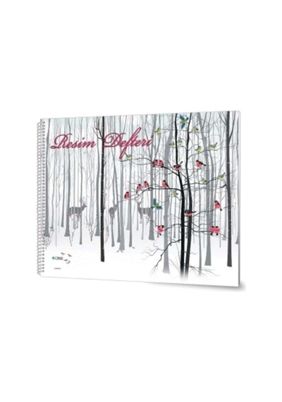 Çınar Resim Defteri Spiralli 15 Yaprak 17x24 33002 12 Adet