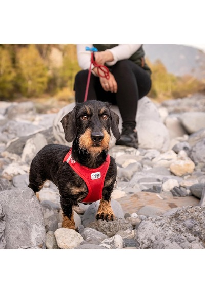 Vest Harness Curlı Clasp Softshell Red 2xs Genel