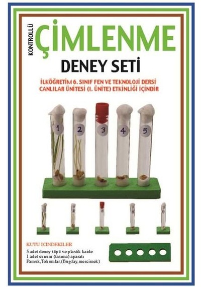 Çimlenme Deney Seti Okul Proje Fen Ödev Deneyi