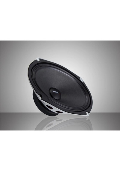 Xmd-3069 Oval Midrange Hoparlör