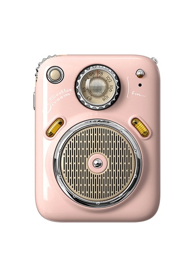 Divoom Beetles FM Radyolu Mini Bluetooth Hoparlör