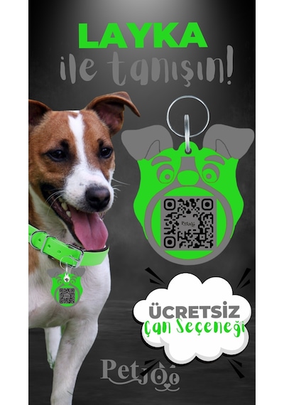 Petjoo 22.Layka Gri-Yeşil Qr'lı Köpek Künyesi
