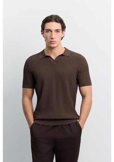 Avva Erkek Kahverengi Polo Yaka Düğmesiz Rayon Karışımlı Regular Fit Triko T-shirt A62y5060