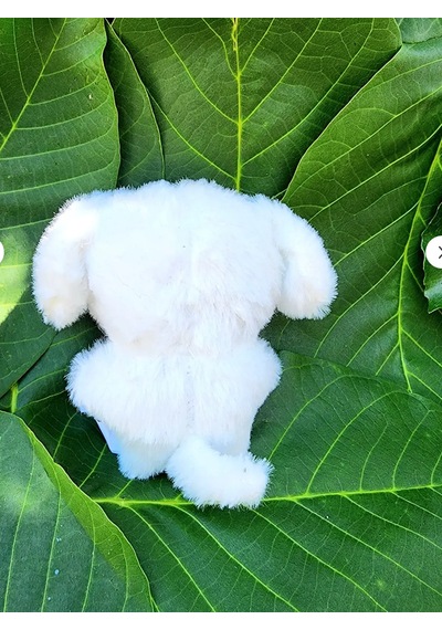 Pepikon Skzoo Enhypen Kpop Peluş Oyuncak Anahtarlık 10 Cm Süpriz Hediyelidir Beyaz - Pembe