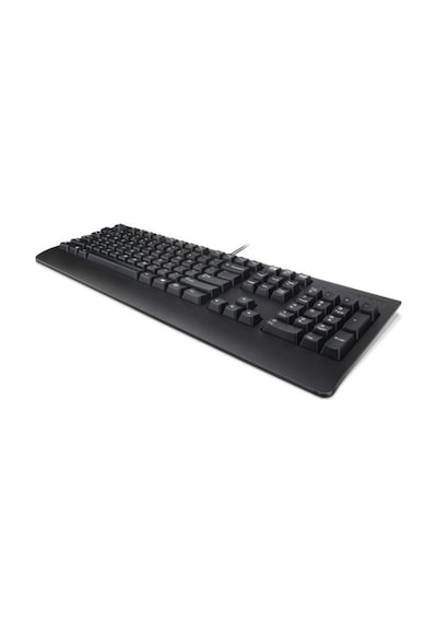 Lenovo Preferred Pro II Türkçe F Klavye