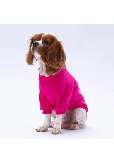 Pawstar Pembe Lahti Polarlı Küçük Irk Köpek Sweatshirtü