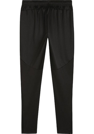 Puma Teamfinal Training Pants Erkek Futbol Antrenman Eşofman Altı 65856303 Siyah 65856303 Siyah