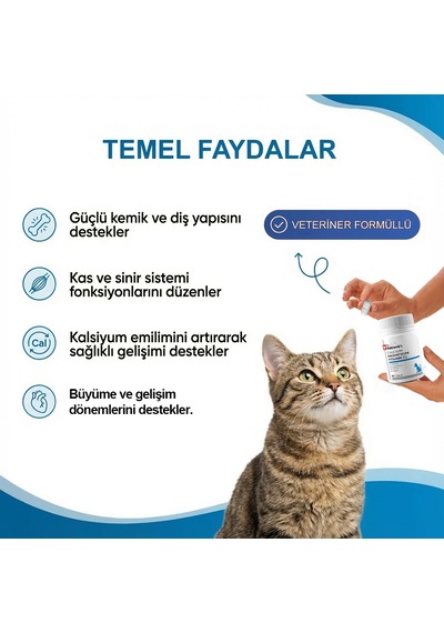 Kedi Kalsiyum Tablet 30 Tablet Kemik Ve Diş Gelişimi Destekleyici D3 & Magnezyum