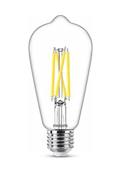 60w St64 E27 Kısılabilir Filament Ampul Wgd90 Diğer