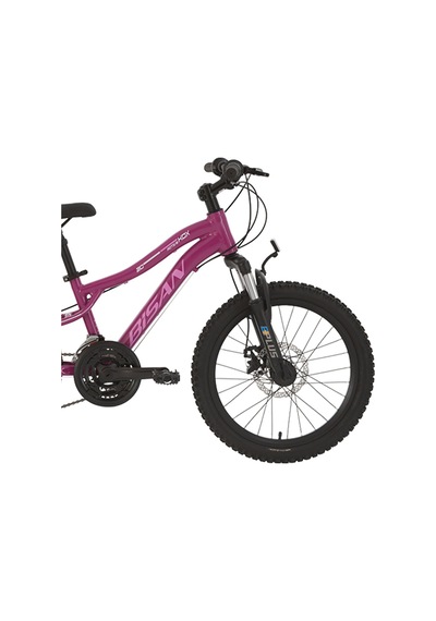 Kdx 2500 Disk Fren 20 Jant Çocuk Bisikleti 28 Cm Kadro 21 Vites Metalik Mor Pembe Beyaz Mor