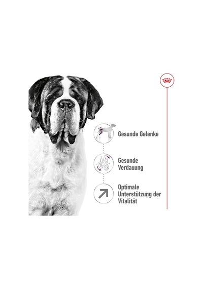 Giant Adult Köpek Maması, 15 Kg