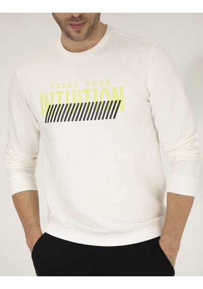 Pierre Cardin Erkek Ekru Sweatshirt 50262638-vr019 Ekru