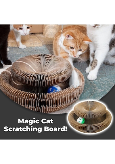Ayrex Katlanabilir Kedi Tırmalama Oyuncağı 2'li Set Catnipli Akordeon Yapı, Toplu & Zeka Geliştirici Kedi Oyunc