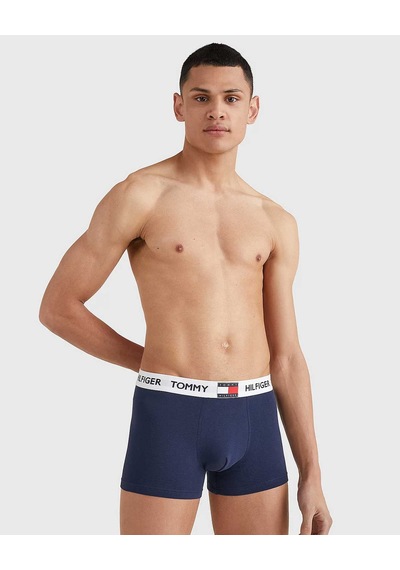Navy Blazer Erkek Tommy Hilfiger Underwear Bottoms Erkek Boxer Um