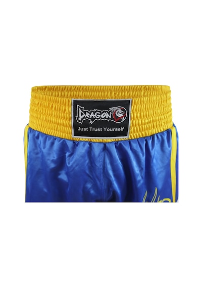 Dragondo 45755 Wushu Sanda Şortu Mavi