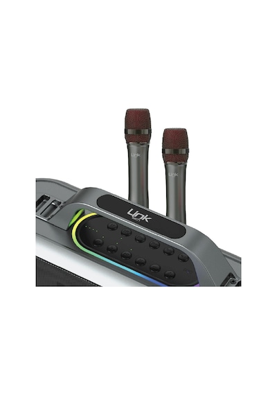 Linktech M420 Premium Extra Bass Çift Mikrofonlu Kablosuz Hoparlör