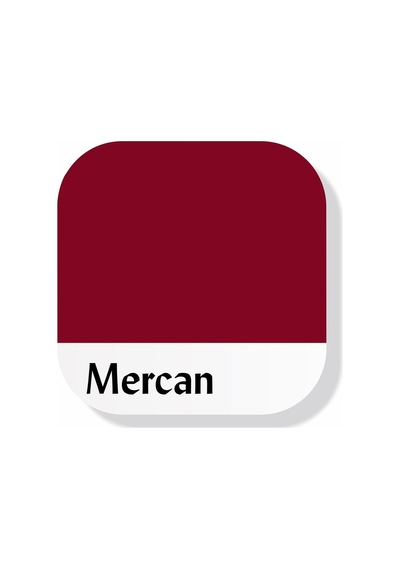 Multi-surface Hibrit Akrilik Boya, 120ml, Su Bazlı, Ahşap Cam Seramik Metal Kumaş Plastik İçin Mercan Kırmızı