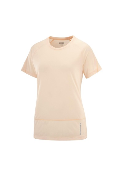 Salomon Cross Run Ss Tee W 27956 Çok Renkli