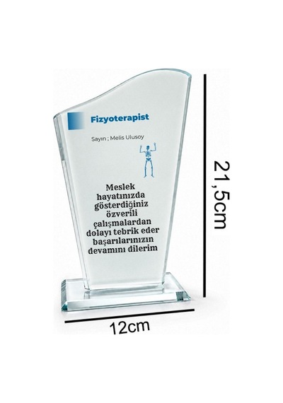 Fizyoterapiste Hediye Kristal Cam Plaket Fizyoterapistler Günü Masaüstü Tebrik Ödülü