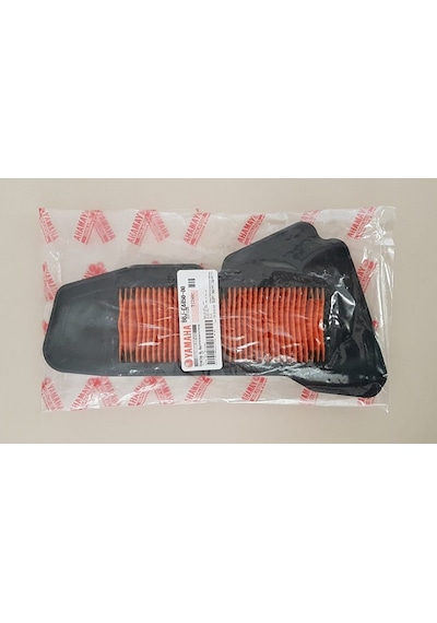 Yamaha D'Elıght 125 2021 Hava Filtresi B0J-E4450-00