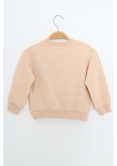 Toontoy Kids Toontoy Erkek Çocuk Relax Fit Bisiklet Yaka Hafif Düşük Omuz Nakışlı Sweatshirt Bej